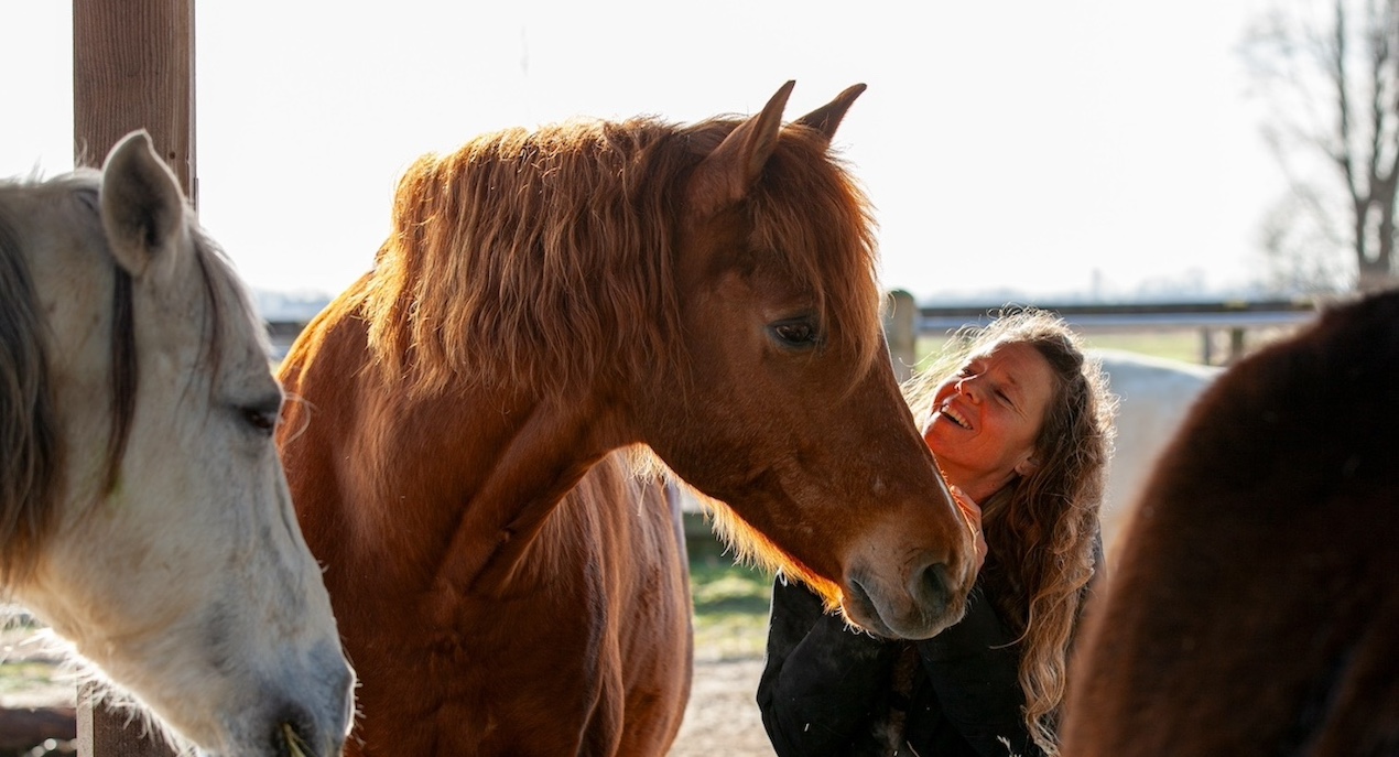 Beschrijving van afbeelding